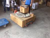 Самовывоз затирочной машины TSS